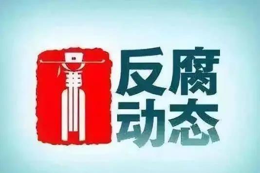 程峰一审获刑11年