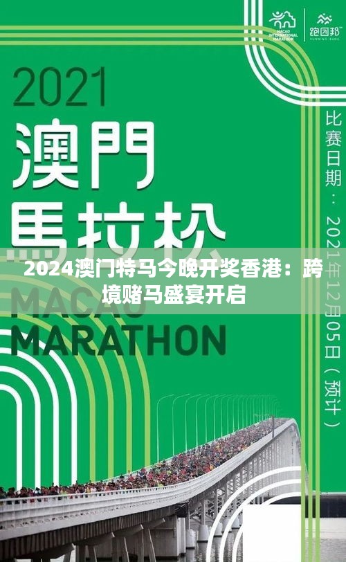 2025年今晚澳门特马+VE版32.263_落实到位解释