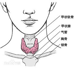 你每一次生的气，都会留在甲状腺里