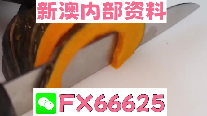 管家婆精准资料免费大全香港+潮流版76.950_知识解答