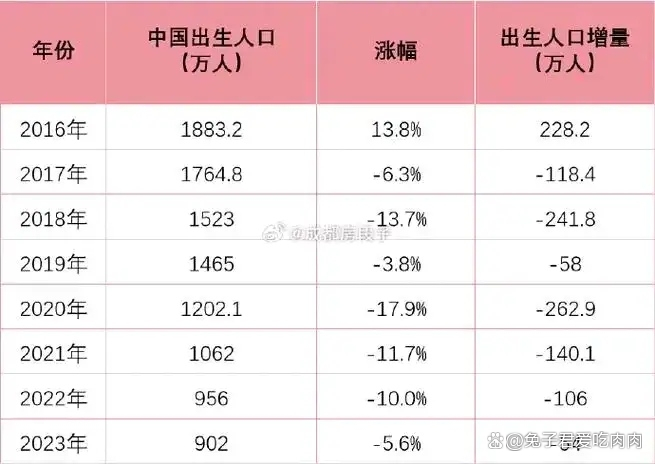 揭秘未来趋势，2024年出生人口回升的十大因素